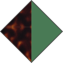 BROWN HAVANA / GREEN