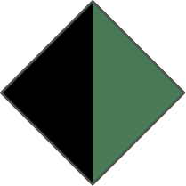 BLACK / GREEN - Plain Grey Lens