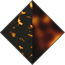 DARK HAVANA / BROWN HAVANA