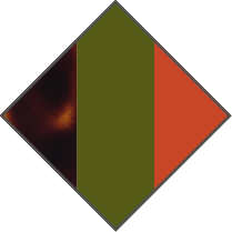 BROWN HAVANA / GREEN / ORANGE