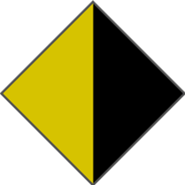 YELLOW / BLACK - POLARIZED PLAIN BLUE LENS