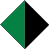 BLACK / GREEN - POLARIZED PLAIN GREY LENS