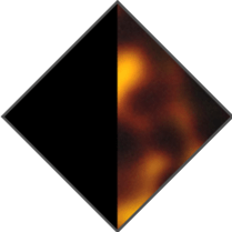 BLACK / BROWN HAVANA