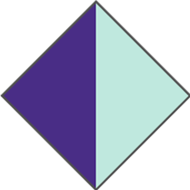 PURPLE / LIGHT BLUE