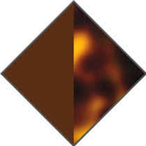 BROWN/BROWN HAVANA - GRADIENT BROWN LENS