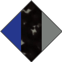 BLUE / BLACK TORTOISE / GREY