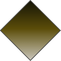 GRADIENT OLIVE GREEN - PHOTOCHROMIC PLAIN GREEN LENS