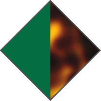 GREEN / BROWN HAVANA