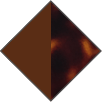 BROWN / BROWN HAVANA