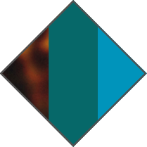 BROWN HAVANA / GREEN / TURQUOISE