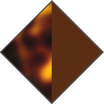 BROWN HAVANA / BROWN