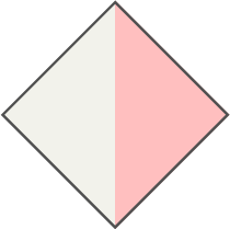 PINK - PHOTOCHROMIC ORANGE LENS