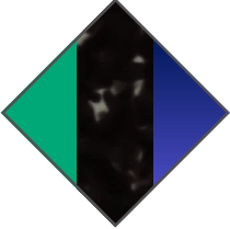 GREEN / BLACK HAVANA / GRADIENT BLUE