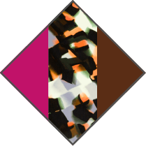 PURPLE / GREEN TORTOISE / BROWN