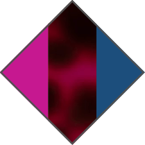 PURPLE / PINK HAVANA / SLATE BLUE