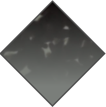 GRADIENT BLACK HAVANA-GREY - GRADIENT GREY LENS