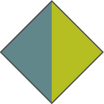 SLATE BLUE / ACID GREEN